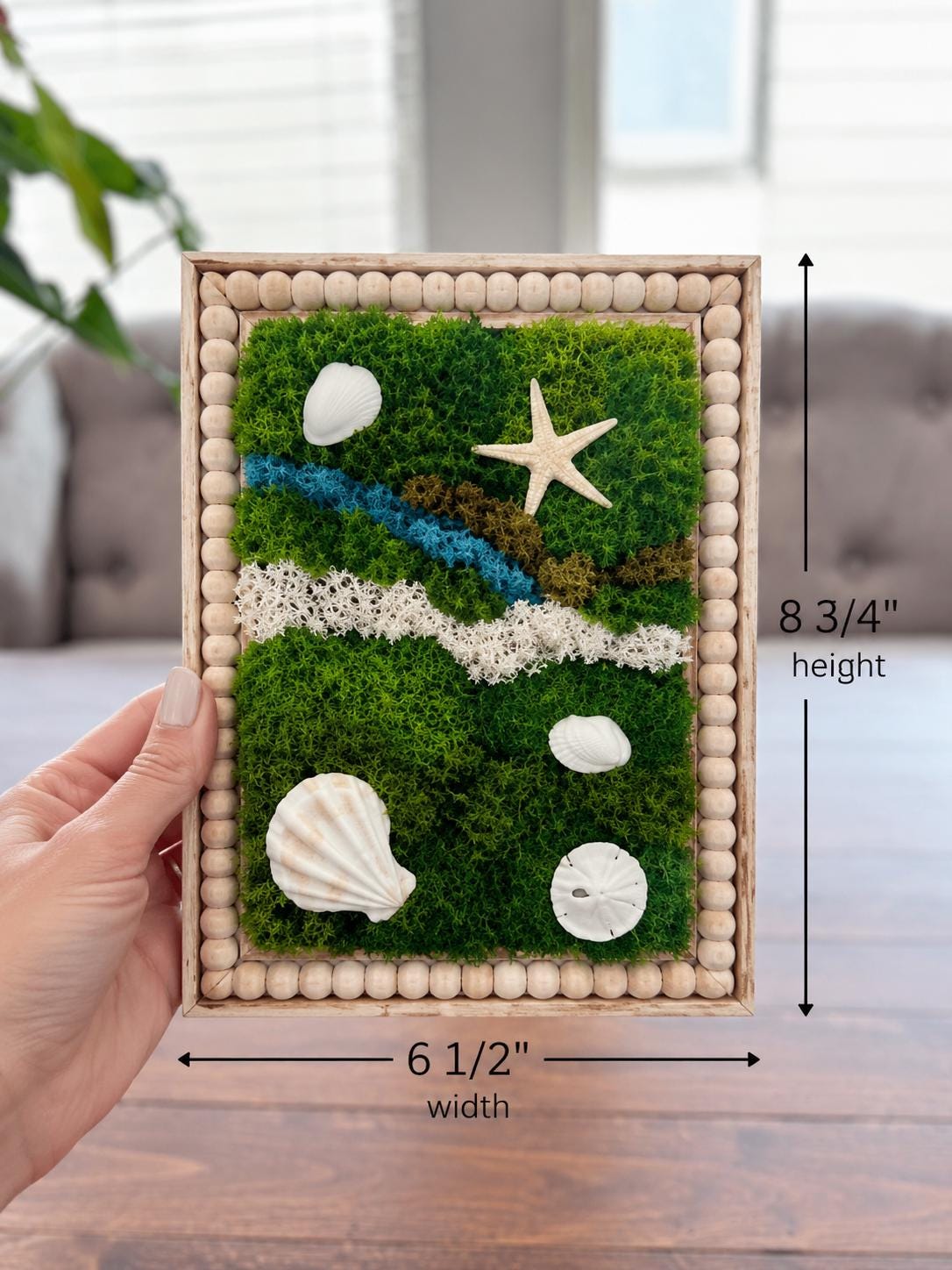 Beach Theme Moss Wall Art with Seashells, Set of 3 - Image 3