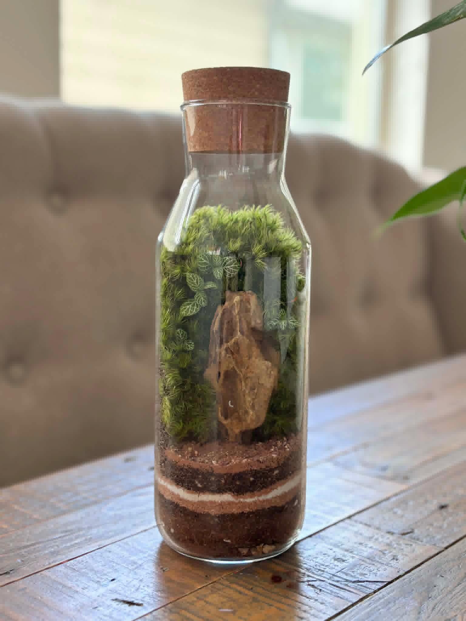 Tall Closed Bottle Terrarium with Pagoda Stone - Image 4