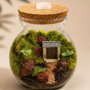 5x5" Japanese Zen Garden Moss Terrarium
