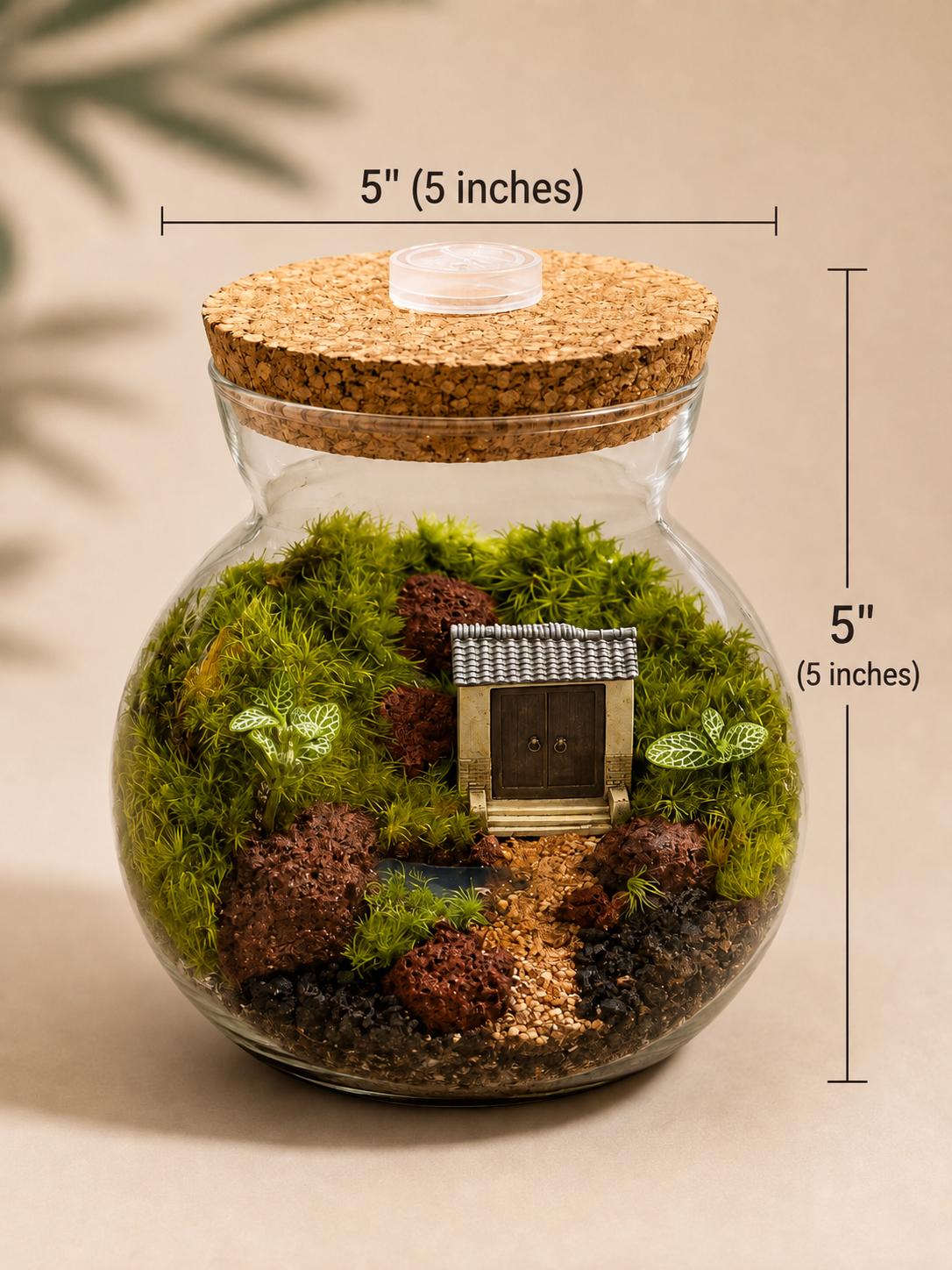 5x5" Japanese Zen Garden Moss Terrarium - Image 3