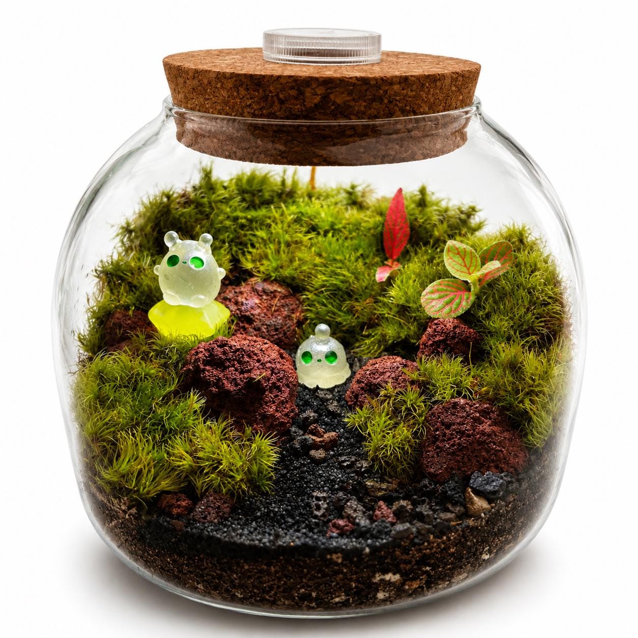 5x5" Glow-in-the-Dark Alien Moss Terrarium