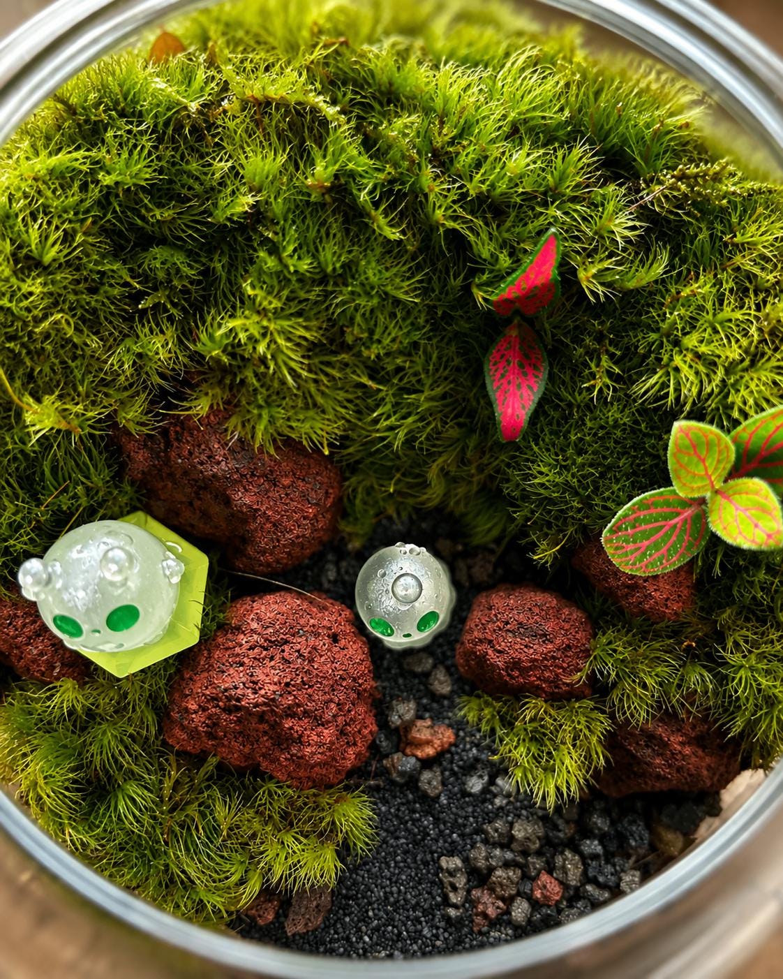 5x5" Glow-in-the-Dark Alien Moss Terrarium - Image 4
