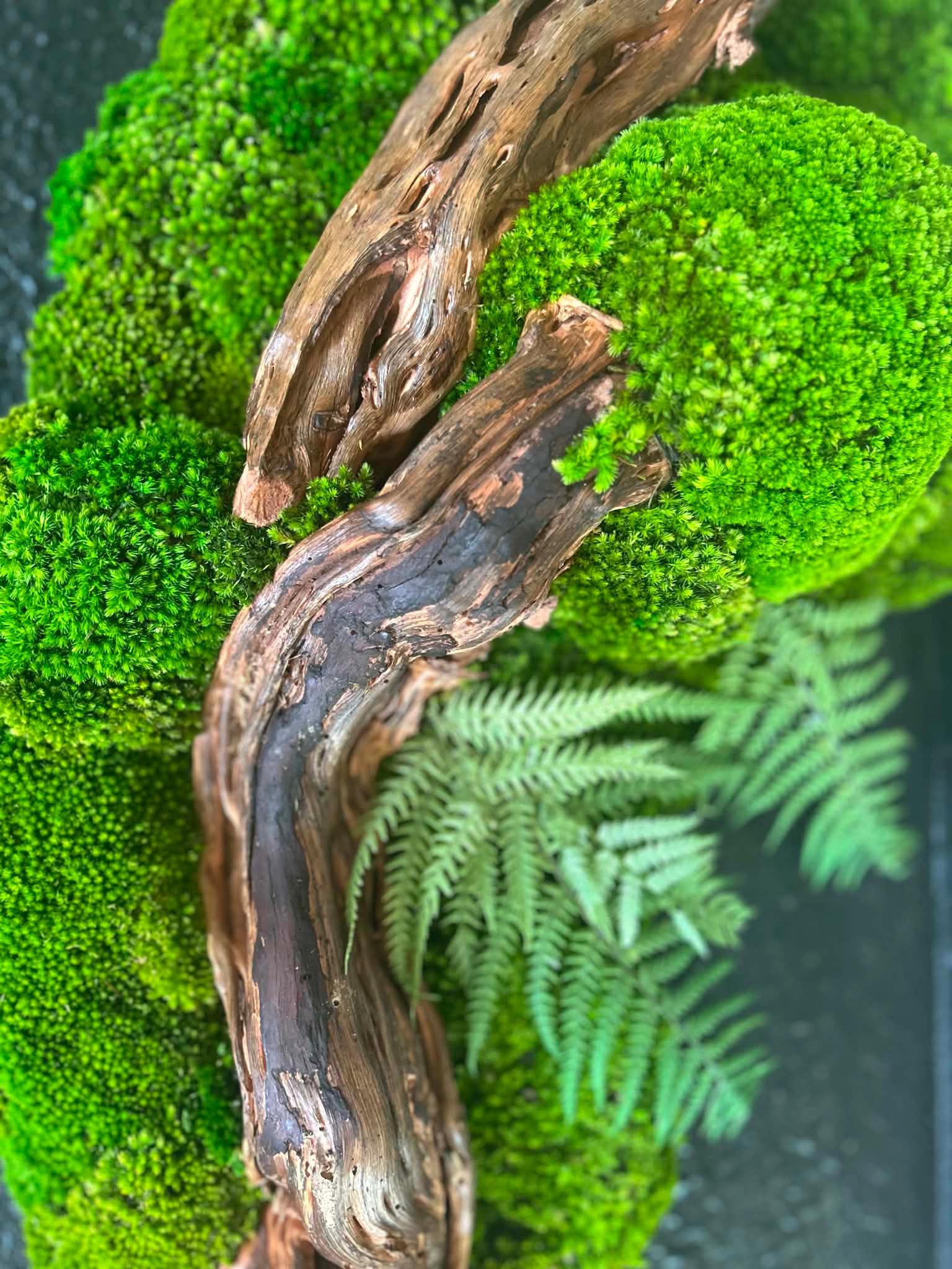 Luxury Preserved Moss Wall Art with Natural Driftwood - Image 6