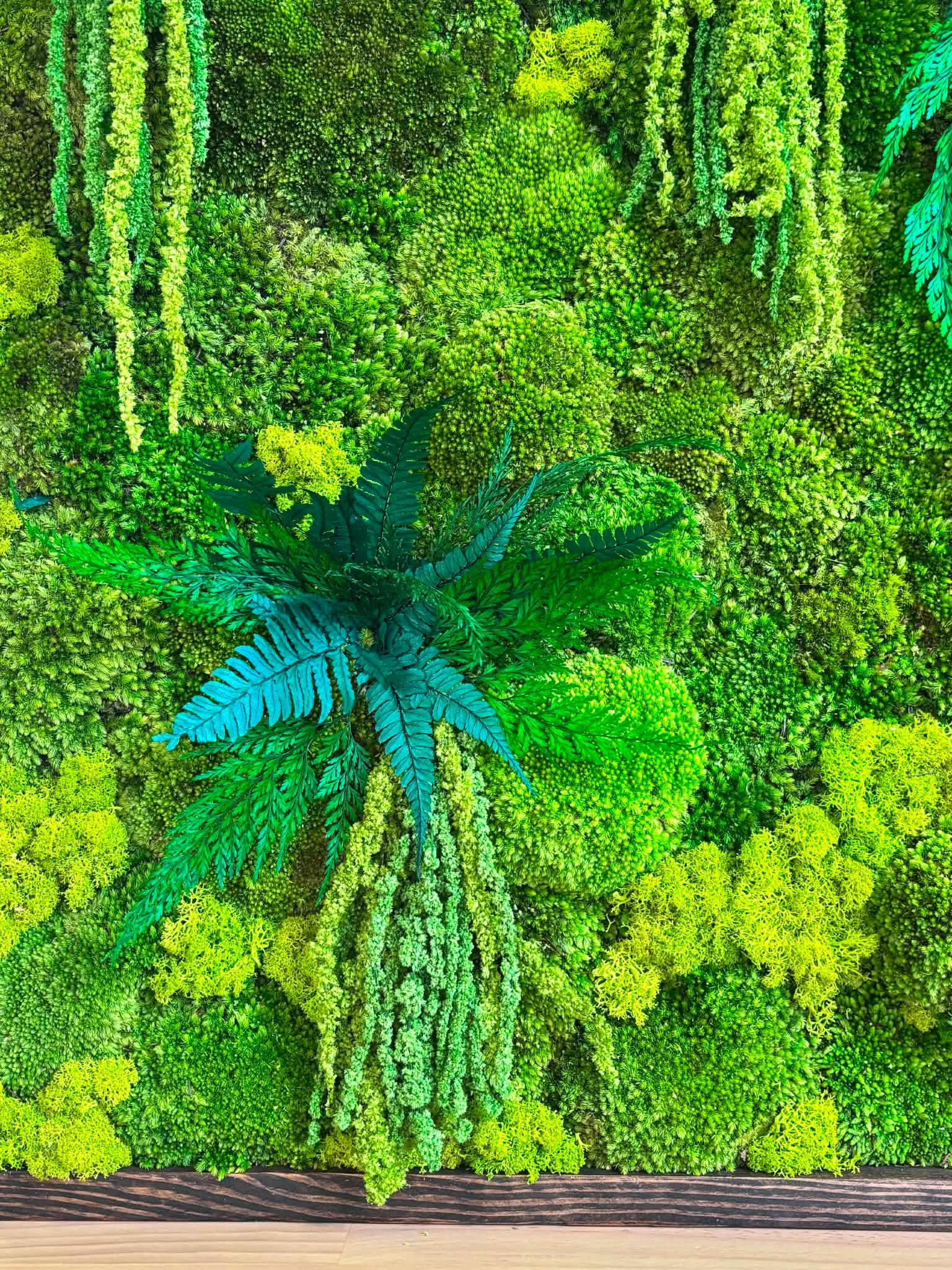 24x24 Preserved Moss Wall Art - Image 8