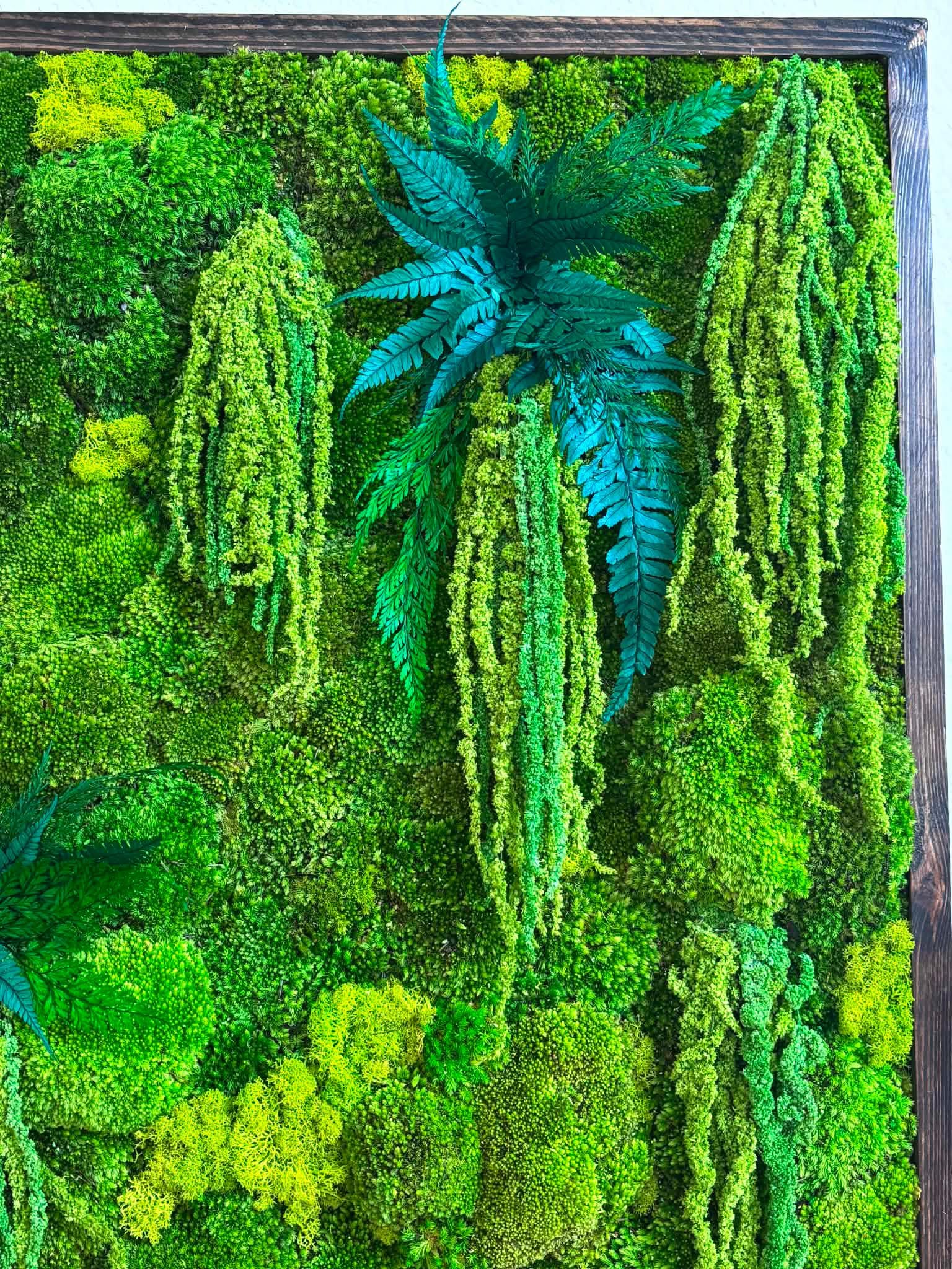 24x24 Preserved Moss Wall Art - Image 10