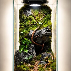 15" Vertical Moss Forest Terrarium with Grow Light